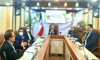 نتیجه مزایده دوم فوق العاده خودروهای خارجی اعلام شد