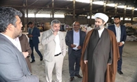 فروش 456 خودروی توقیفی در سیستان و بلوچستان