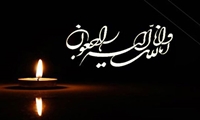 پیام مدیرعامل سازمان اموال تملیکی به مناسبت درگذشت "سید حسین کربلایی" 