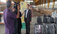 زنجان/۲۶۳ فقره پرونده اموال تملیکی تعیین تکلیف شد 