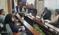 کرمان/ افزایش تعامل بین اموال تملیکی و کانون کارشناسان دادگستری