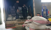 البرز/ ارسال اولین محموله طرح نسیم مهربانی برای دانش آموزان نیازمند