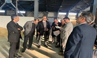 گیلان/ دستور دادستان انزلی برای رفع موانع و تعیین تکلیف کالاهای متروکه 