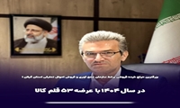 گیلان/برگزاری حراج خرده فروشی برخط با عرصه 53 قلم کالا