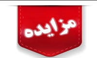 لرستان/ ۶۰۰ میلیارد ریال اموال تملیکی به مزایده گذاشته می‌شود