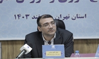 تعیین تکلیف حدود ۵۰ همت کالای منقول در سال گذشته با تعامل دستگاه قضایی و دولت