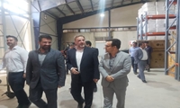 قم / تاکید بر  تسریع در تعیین تکلیف کالاهای سریع الفساد